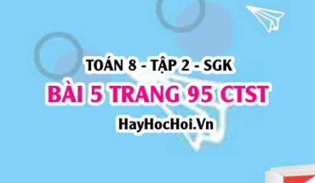 Bài 5 trang 95 Toán 8 Tập 2 Chân trời sáng tạo